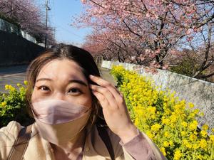 Instagram運用代行