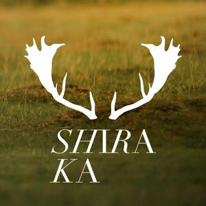 白鹿 / SHIRAKA Design