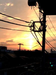 furuya_hansen