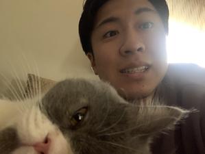 やまよし