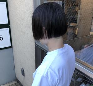 マサキ