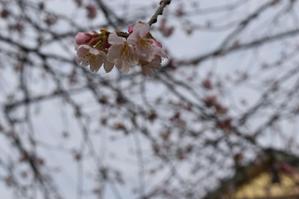 ryo0922