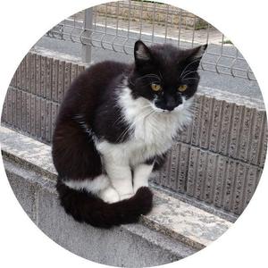 くらたゆうき