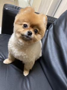 JIROCHAN