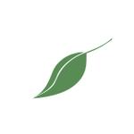 ツリーマインド株式会社