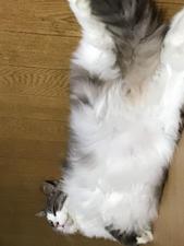 いとや
