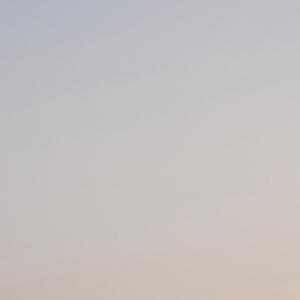 nine_24