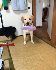 橋爪 晴美