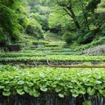 金印物産株式会社