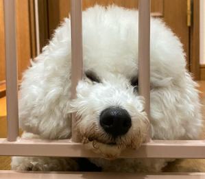 とき