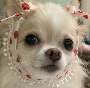 なこ