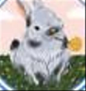 うさぎ