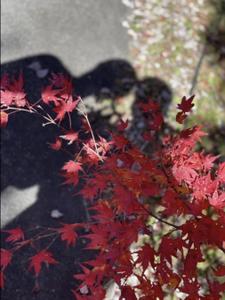 渡辺