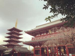 もこ
