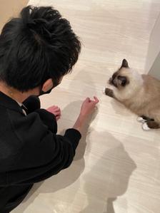 あらっさん