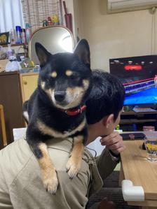 リョウセイ