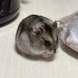 らいぜ