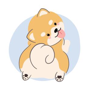 pochita