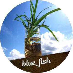 blue_fish