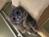 dorothy_0430