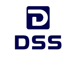 DS Solution