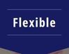 株式会社Flexible