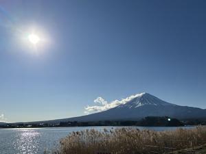 あめんぼ