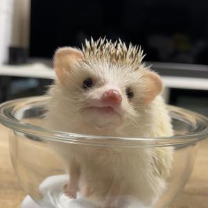 豆大福