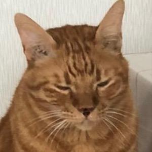杉本 悠季