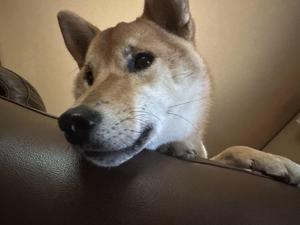 ＲＹＯ