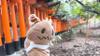おから