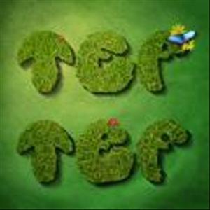 tef-tef