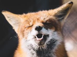 鉱