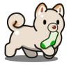 Shibu_Job