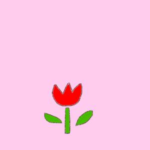 宮田薫
