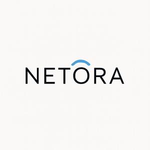 ネトラ WEBコンサルティングカンパニー