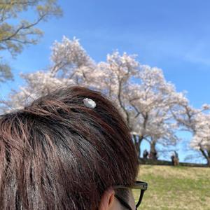 ケーリ