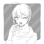 公飼りんご