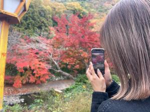 藤井 玲奈