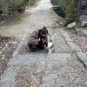 中嶋慧