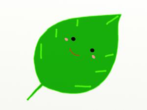 葉っぱ