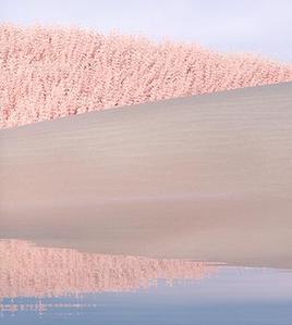 ソエ
