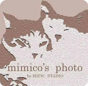 mimico_c