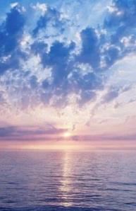 海