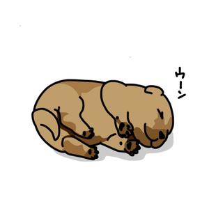 高橋友美