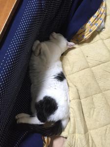 まなび
