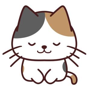 OS