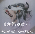 noadamizuki