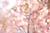 shino_008