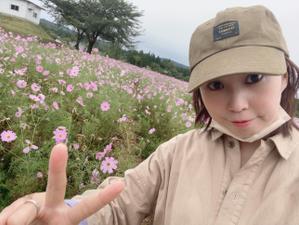 きなこ